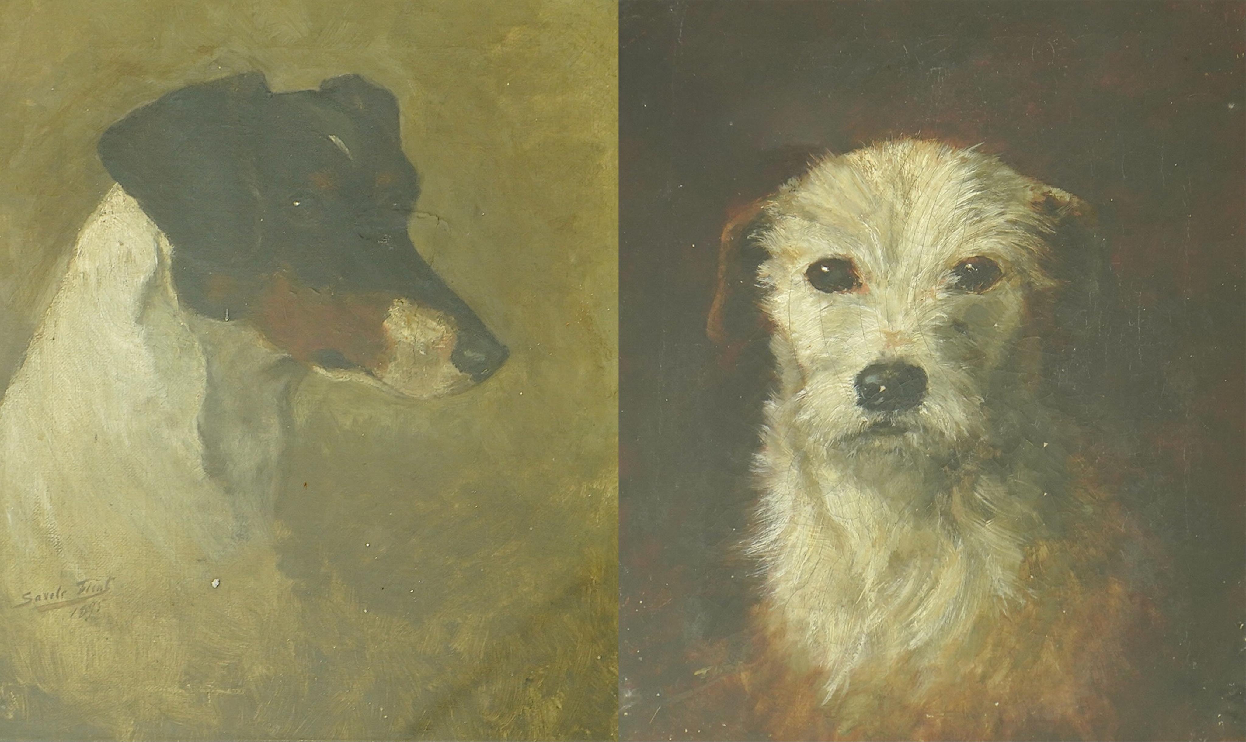 Savile Lumbley Flint (fl.1880-95), Study of a fox terrier and a rough coated terrier, oils on canvas, 30 x 25cm